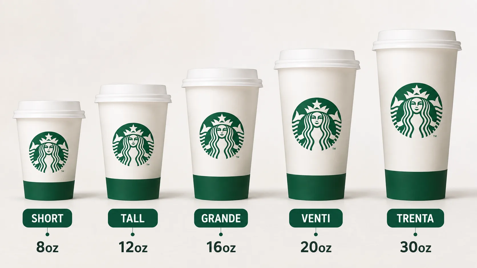Starbucks cup sizes lined up in order — Short, Tall, Grande, Venti, and Trenta — labeled with their exact ounce measurements