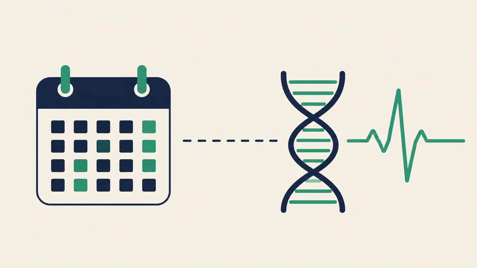 Chronological age vs biological age — diagram comparing birth-date age against body-marker age