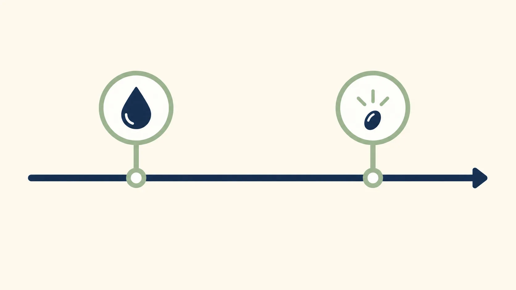 Why is pregnancy dated from last period — LMP vs conception timeline